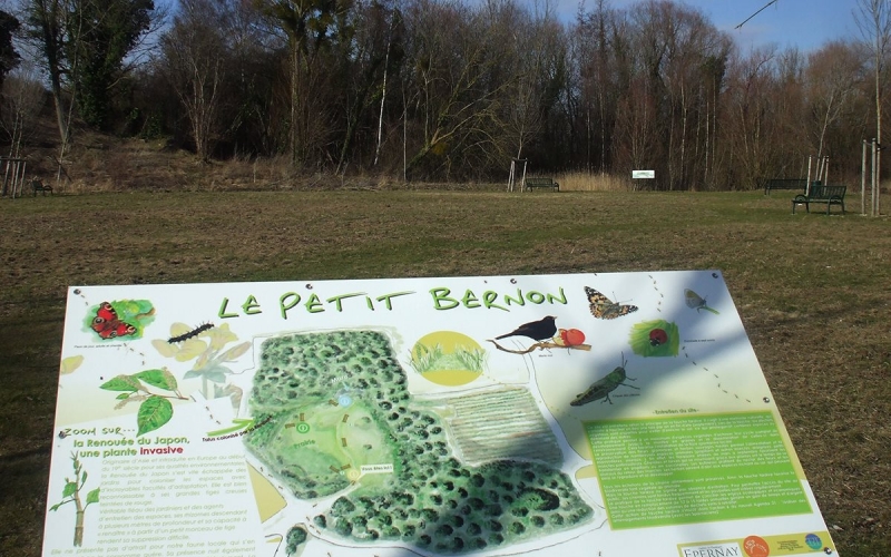 Petit-Bernon © Ville d'Epernay